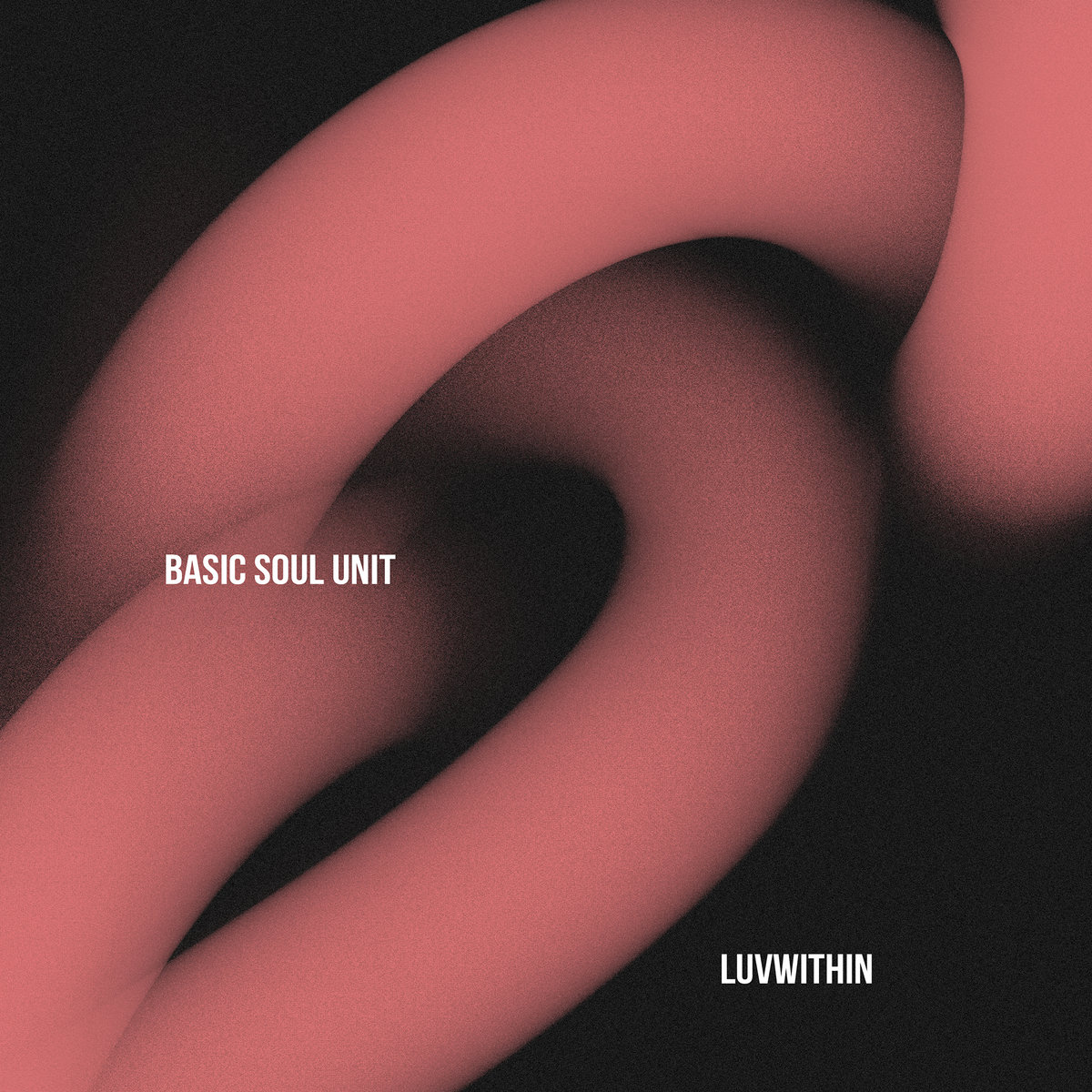 Luvwithin cover