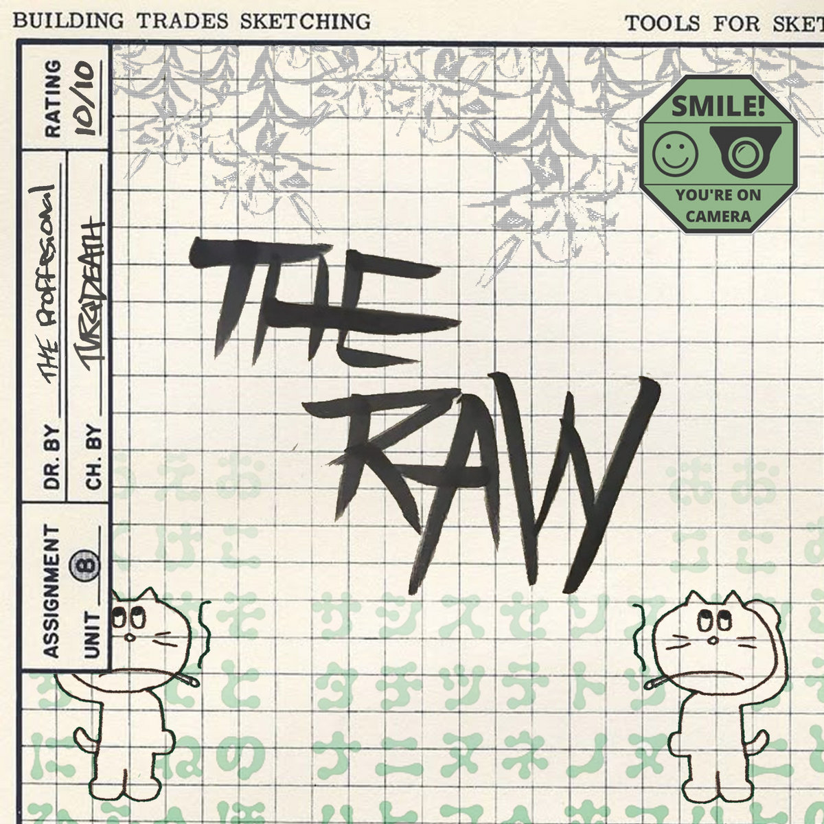 DJ Professional presents: The R.A.W cover art