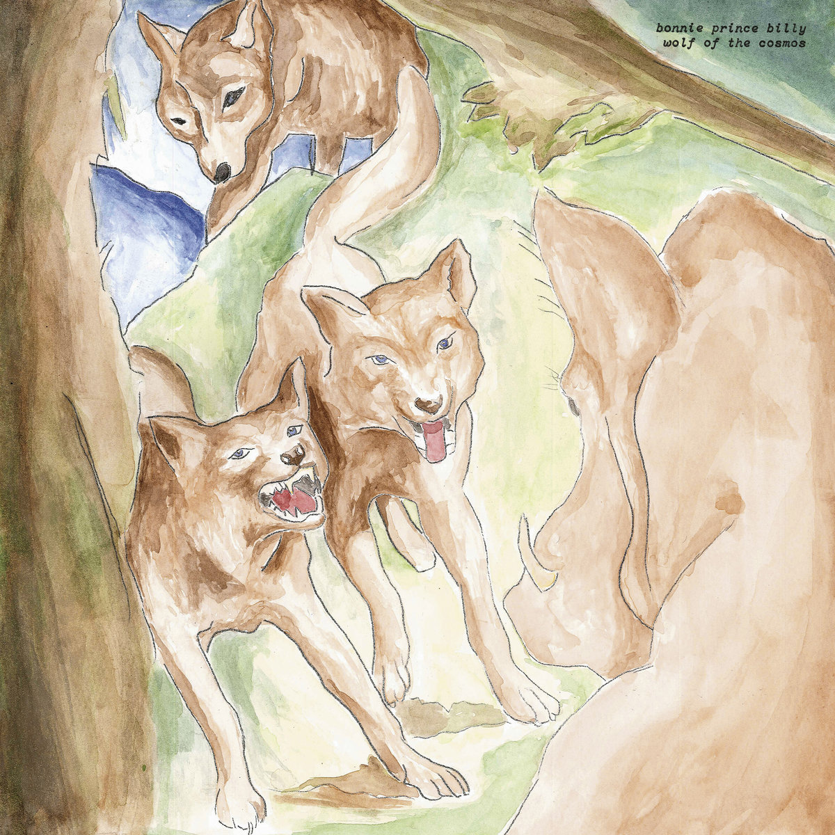 Wolf of the Cosmos cover art