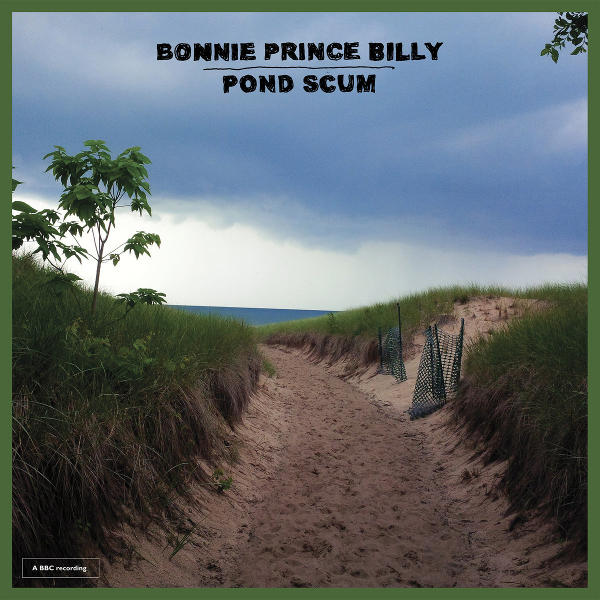 Pond Scum cover art