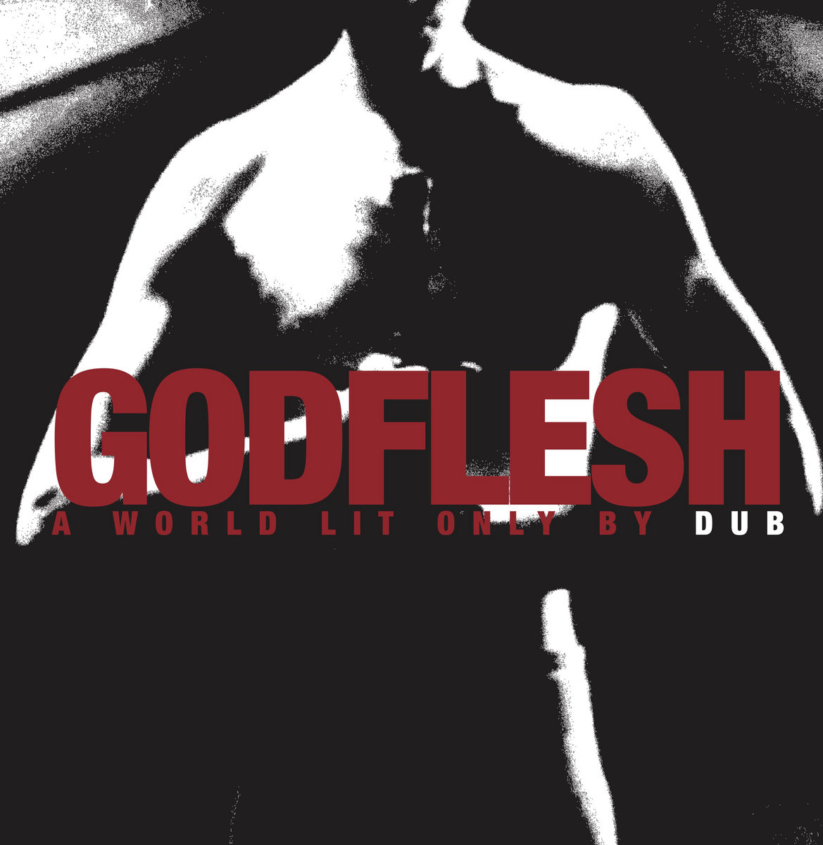 A World Lit Only By Dub cover