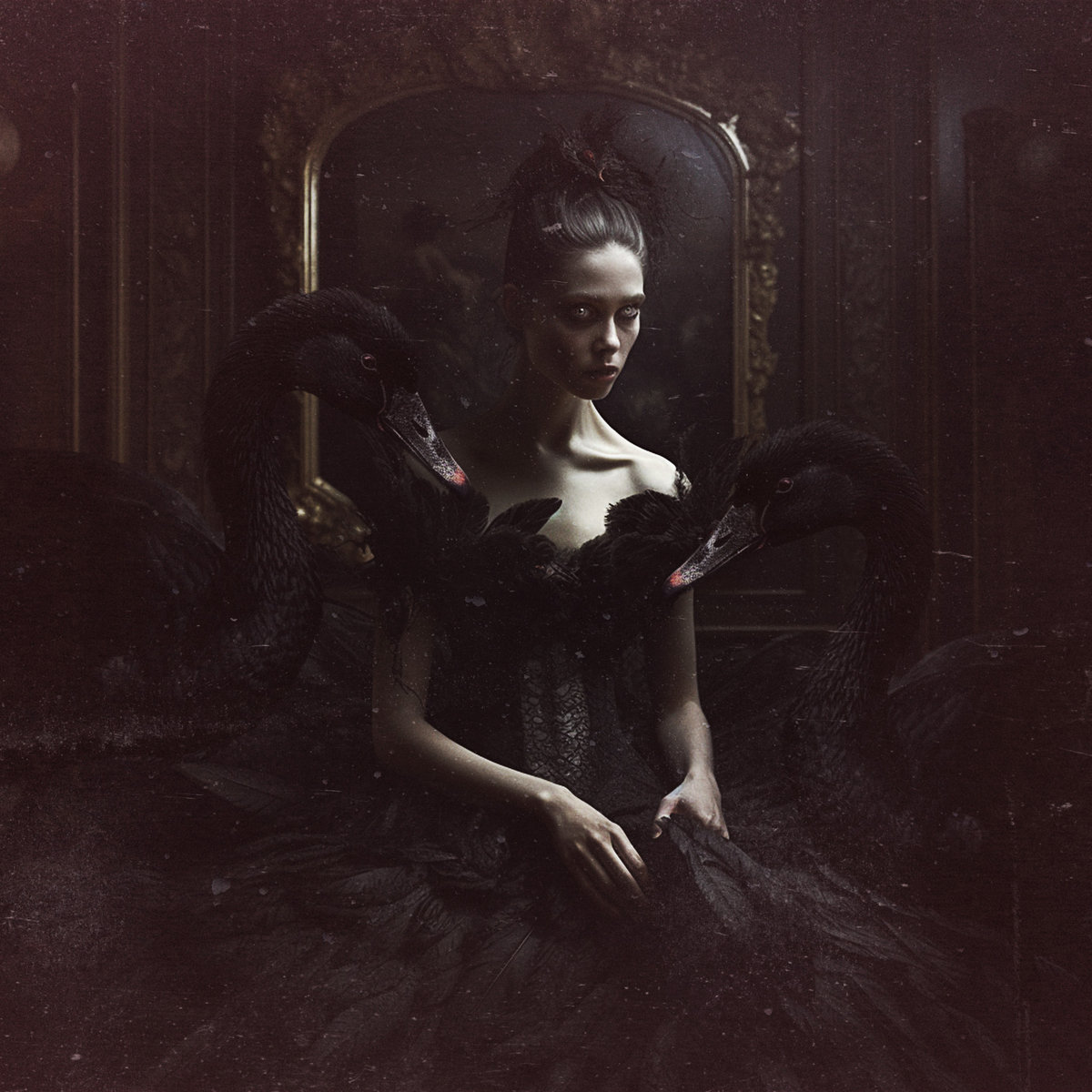 Zombies & Black Swans cover
