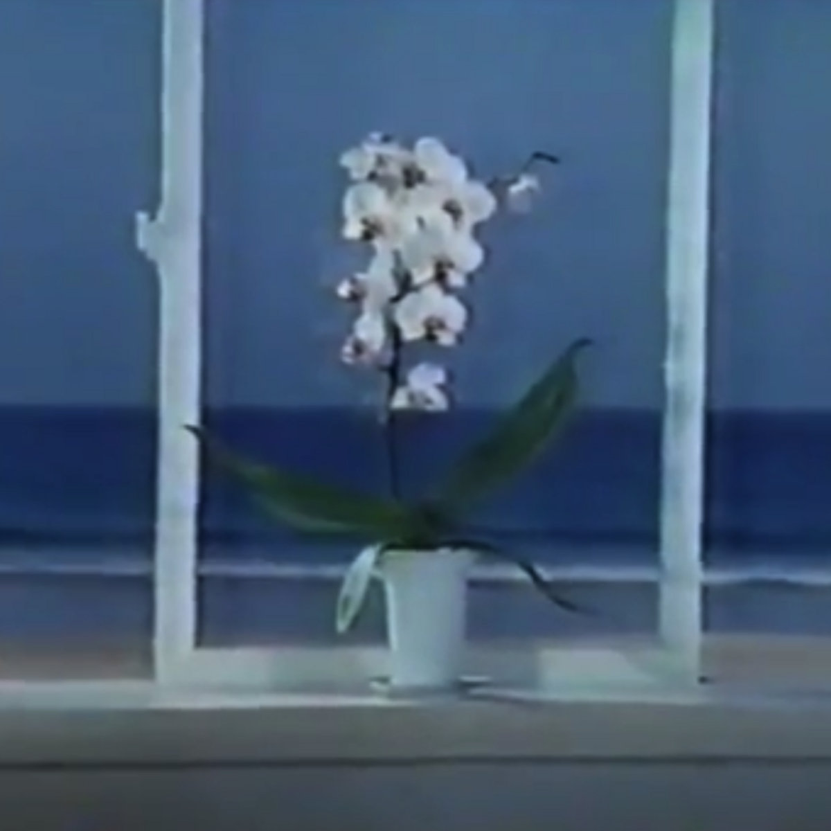 水に流す cover