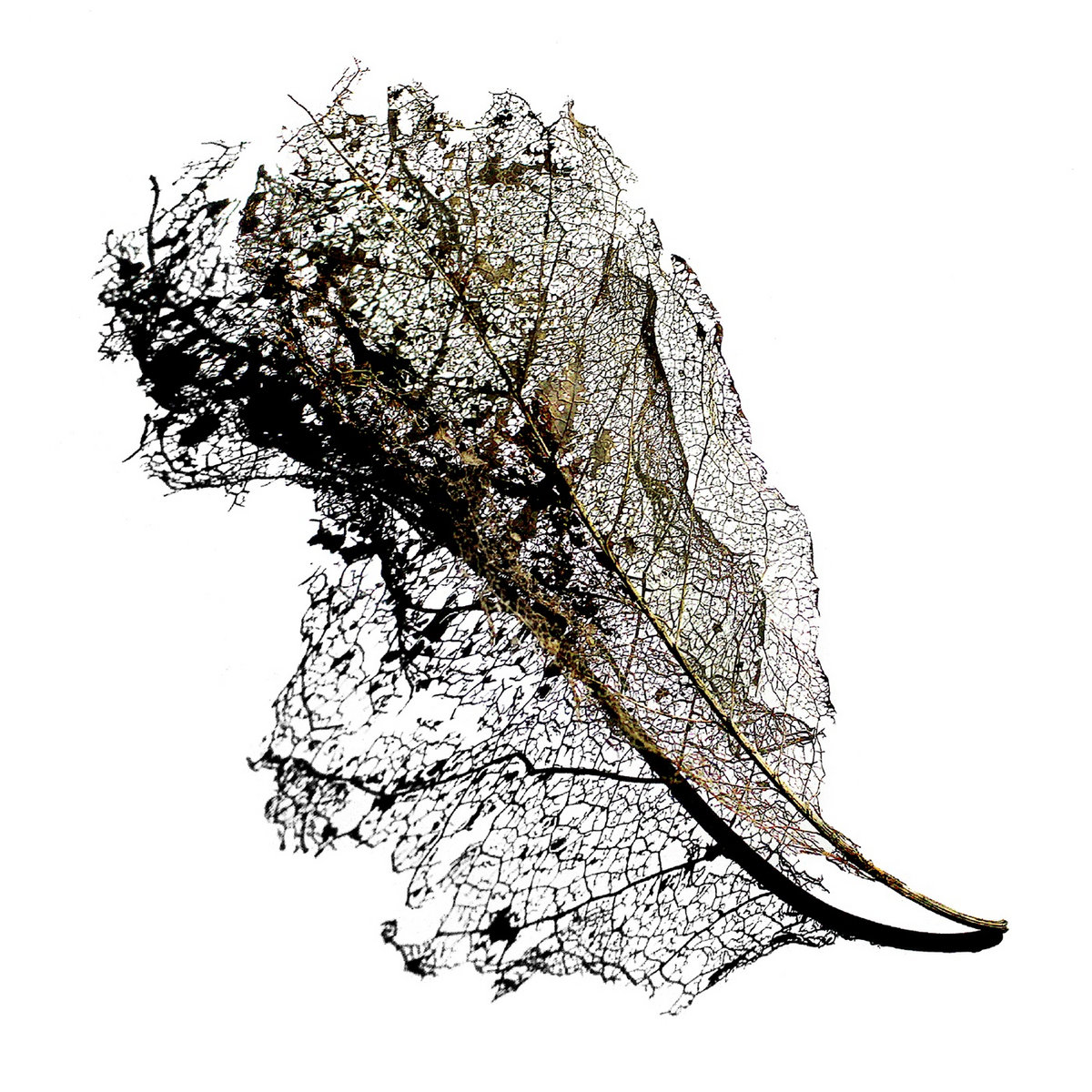 Earth EP cover