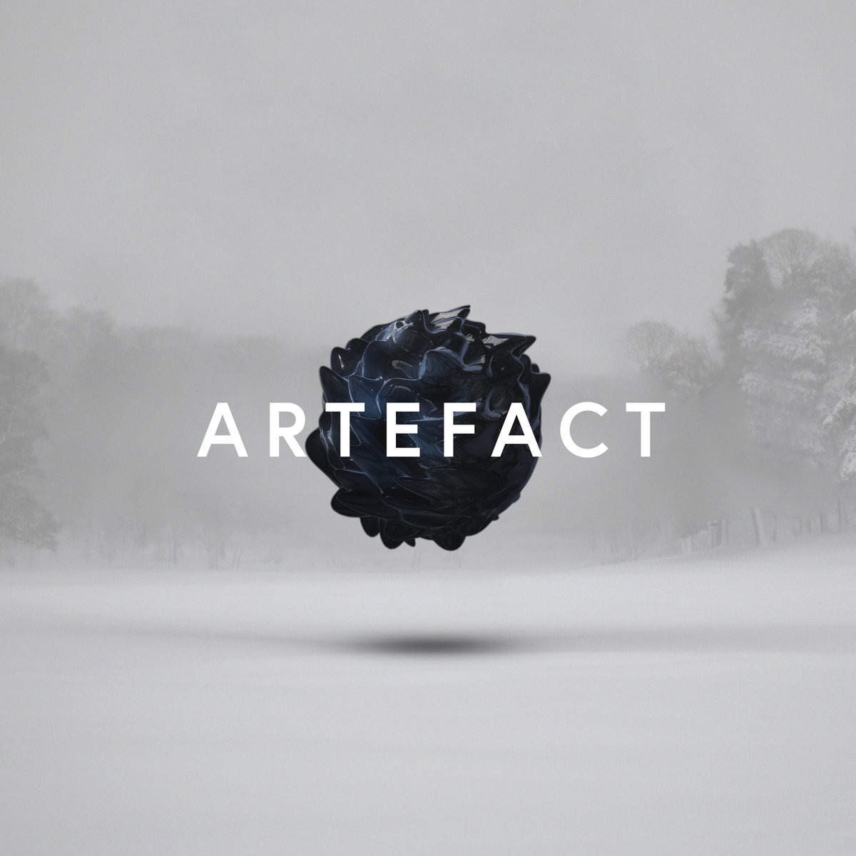 Artefact cover