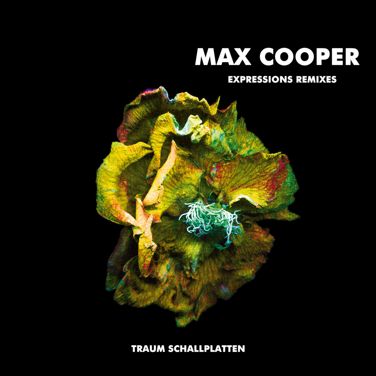 Expressions Remixes cover