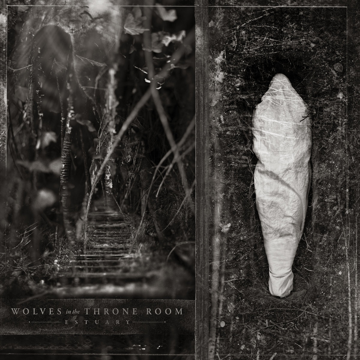 Estuary (North America Edition) cover art