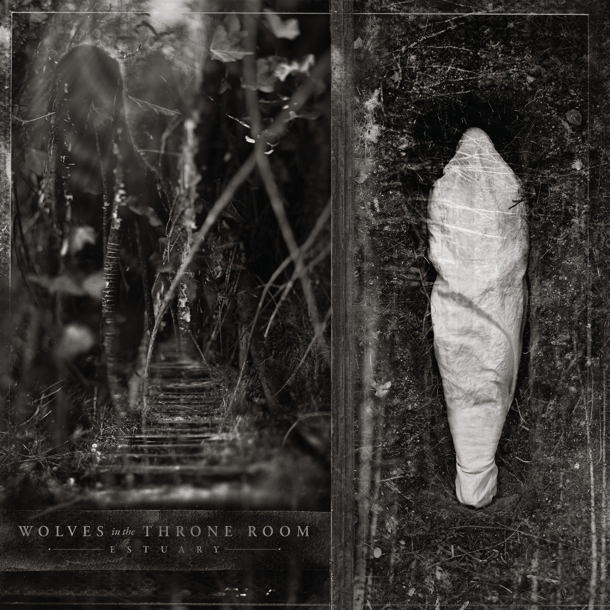 Estuary (International Edition, 24-bit HD audio) cover art