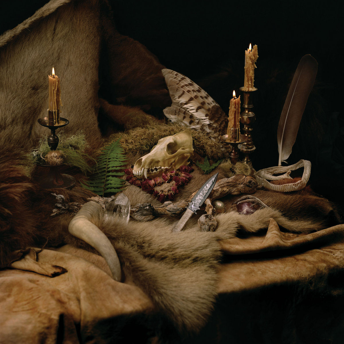 Primordial Arcana (North America Edition) cover art