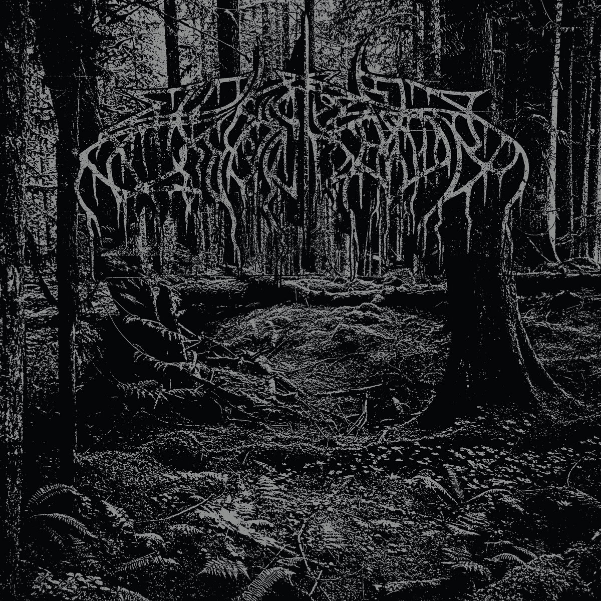 2005 Demo cover art