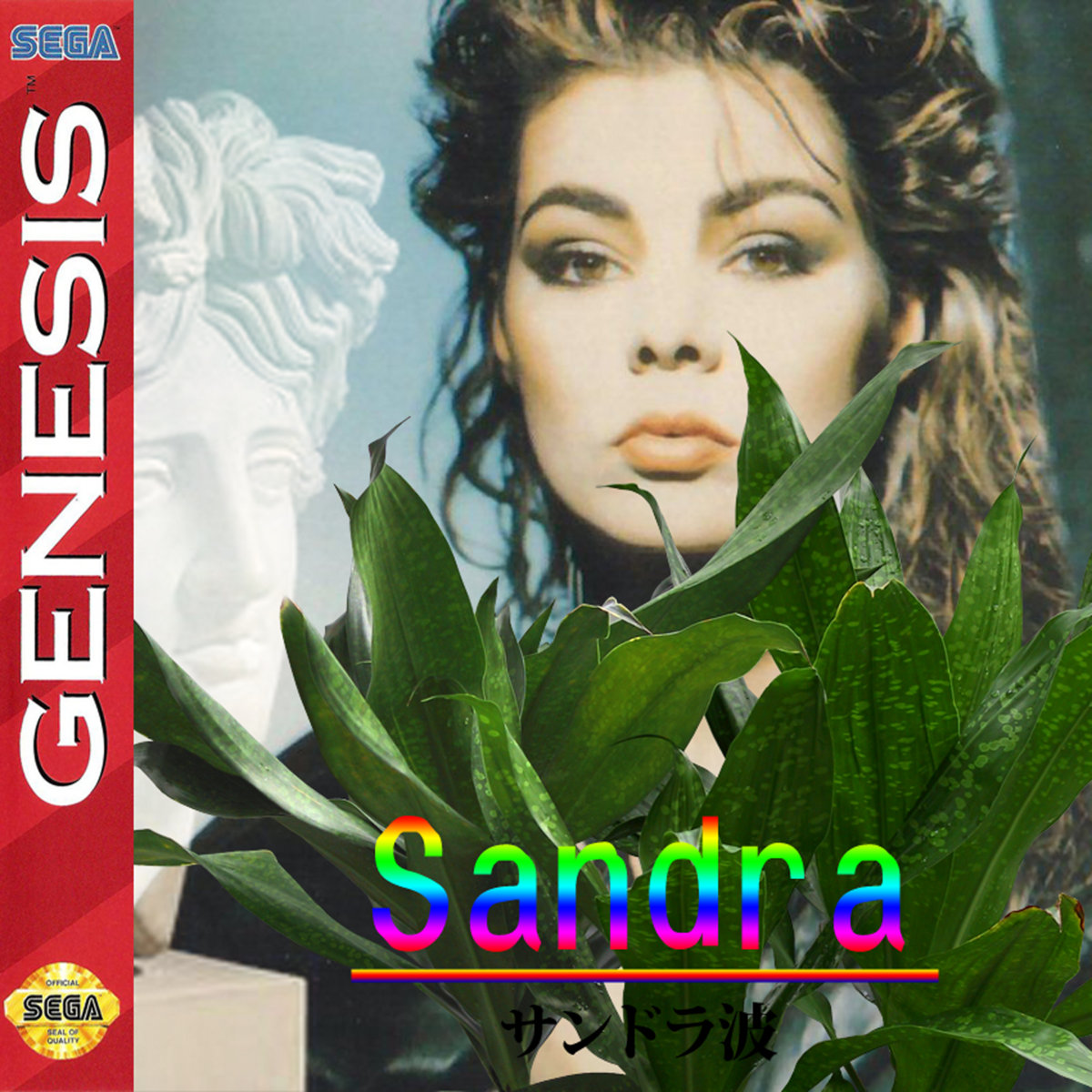SANDRAWAVE cover