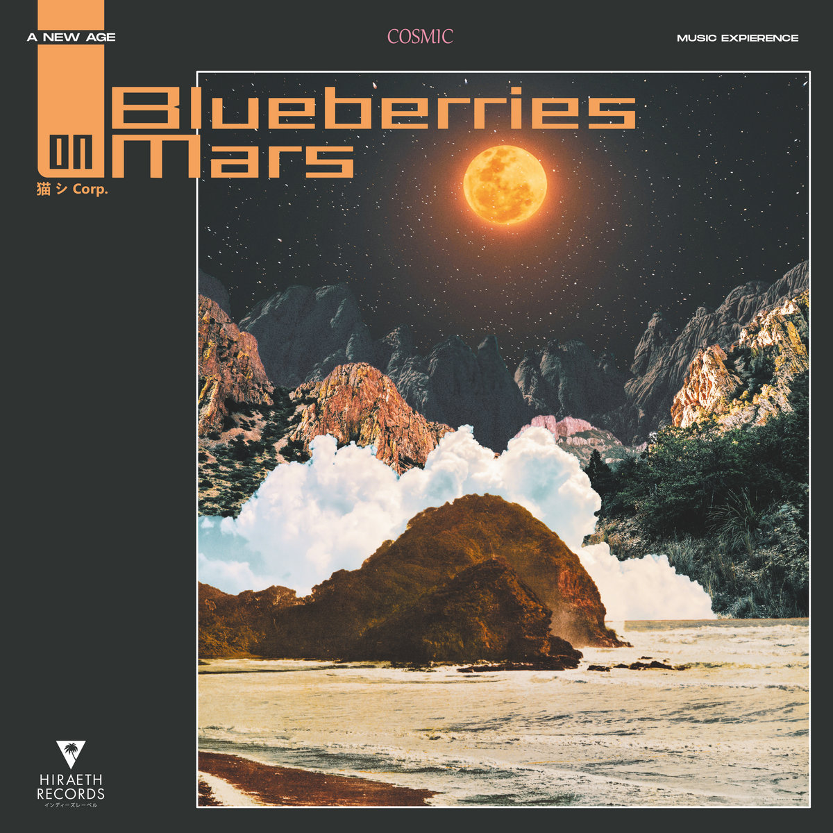 Blueberries on Mars cover