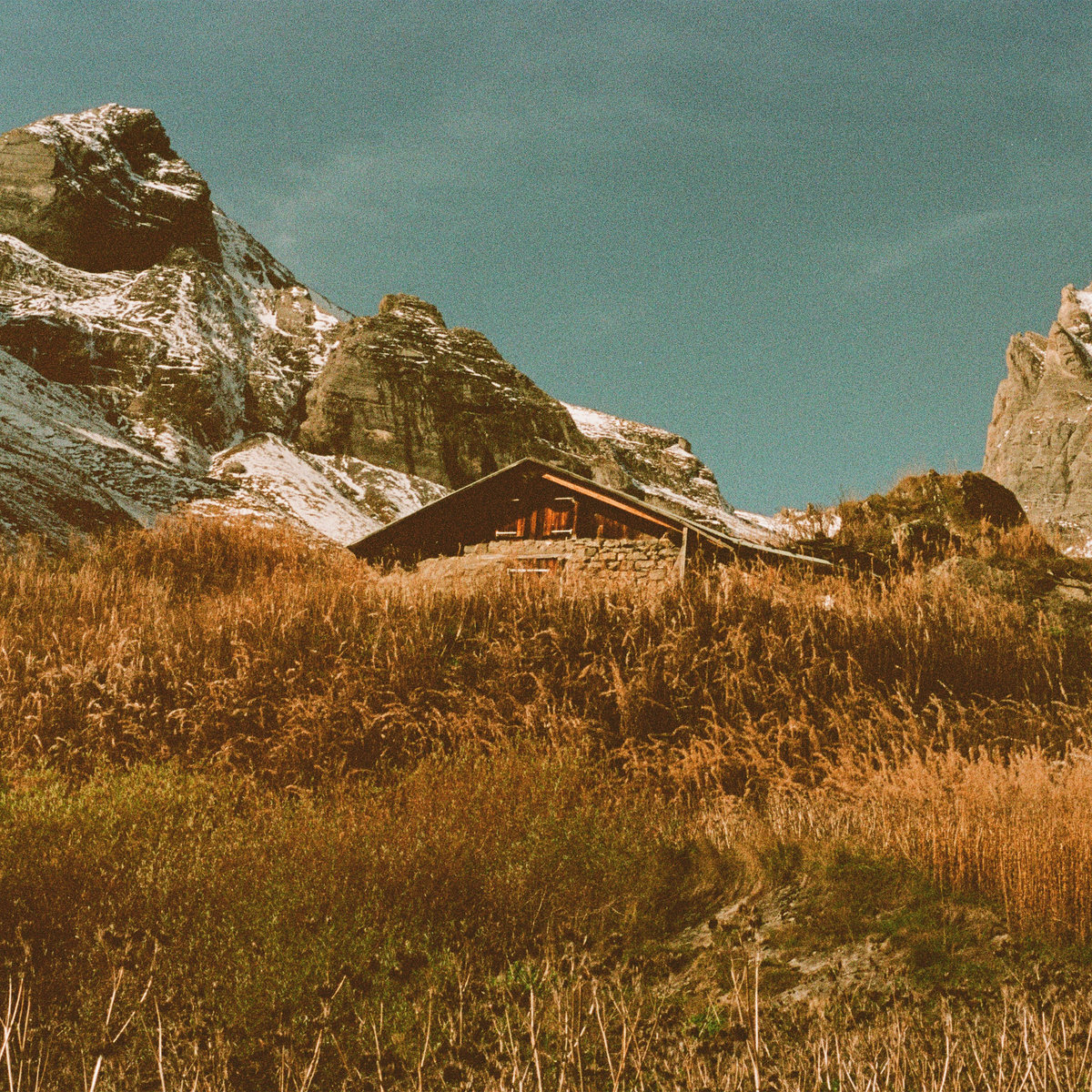 Build and Rest by the Shepherd’s Light cover