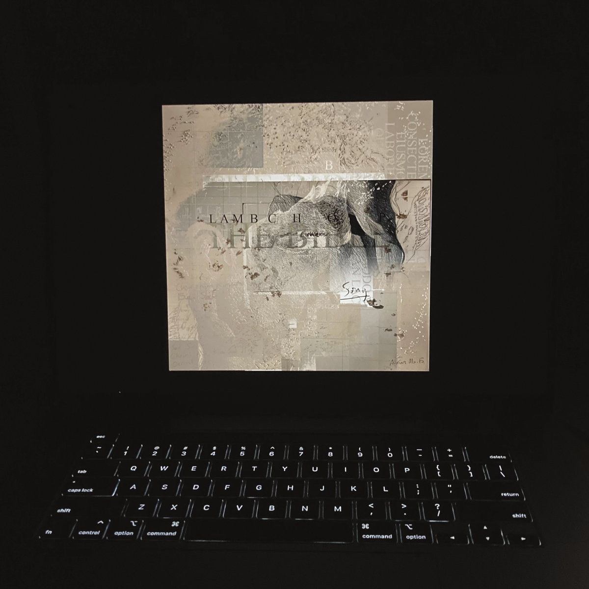 The Bible cover