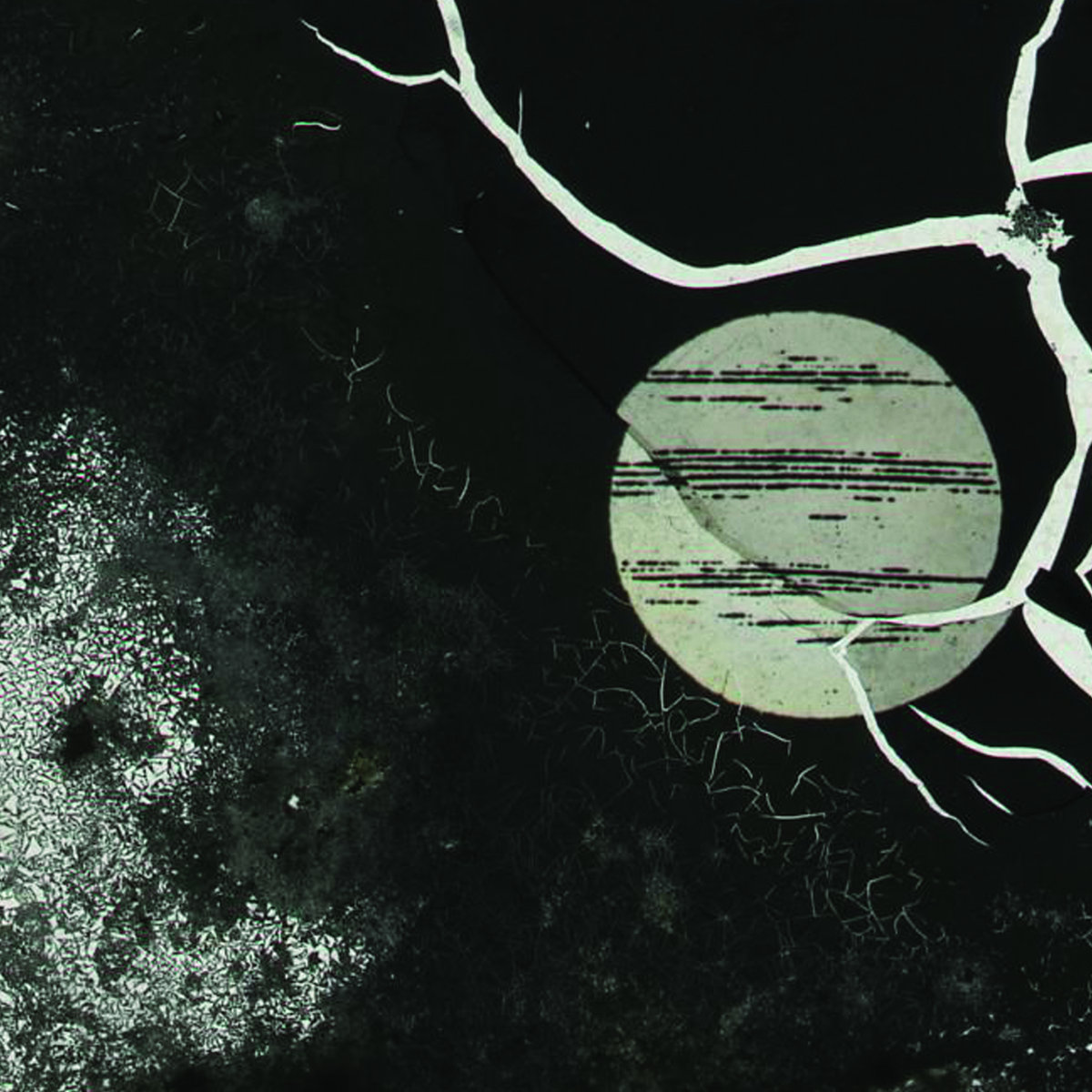 Split cover