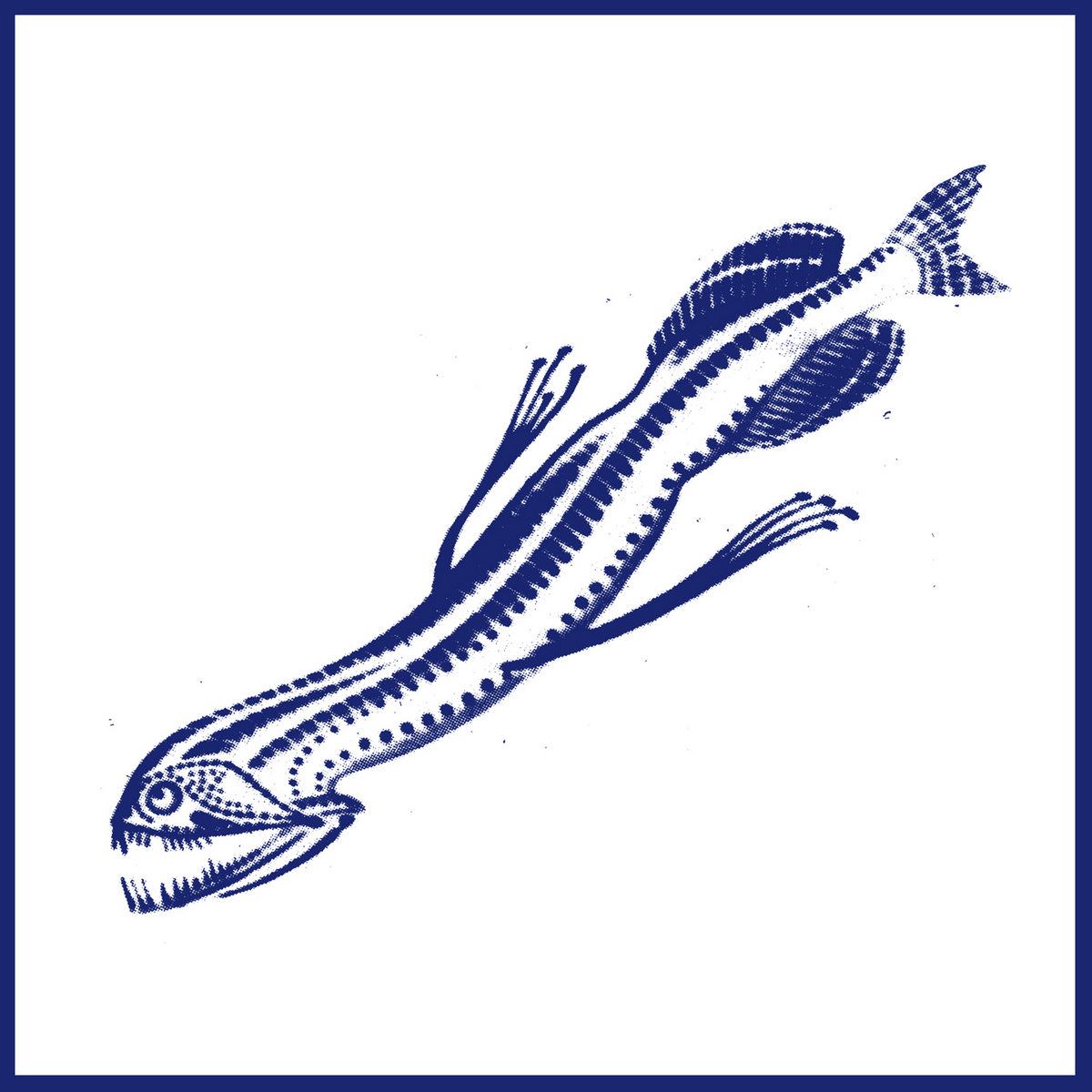 The Squid cover