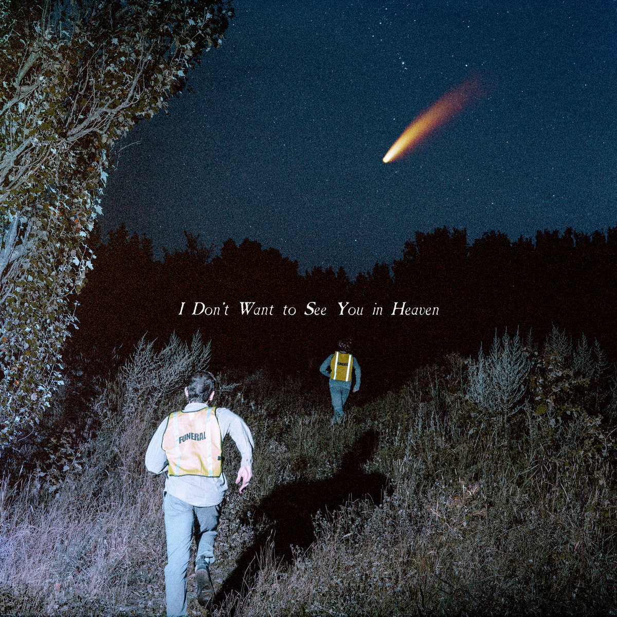 I Don’t Want to See You in Heaven cover art