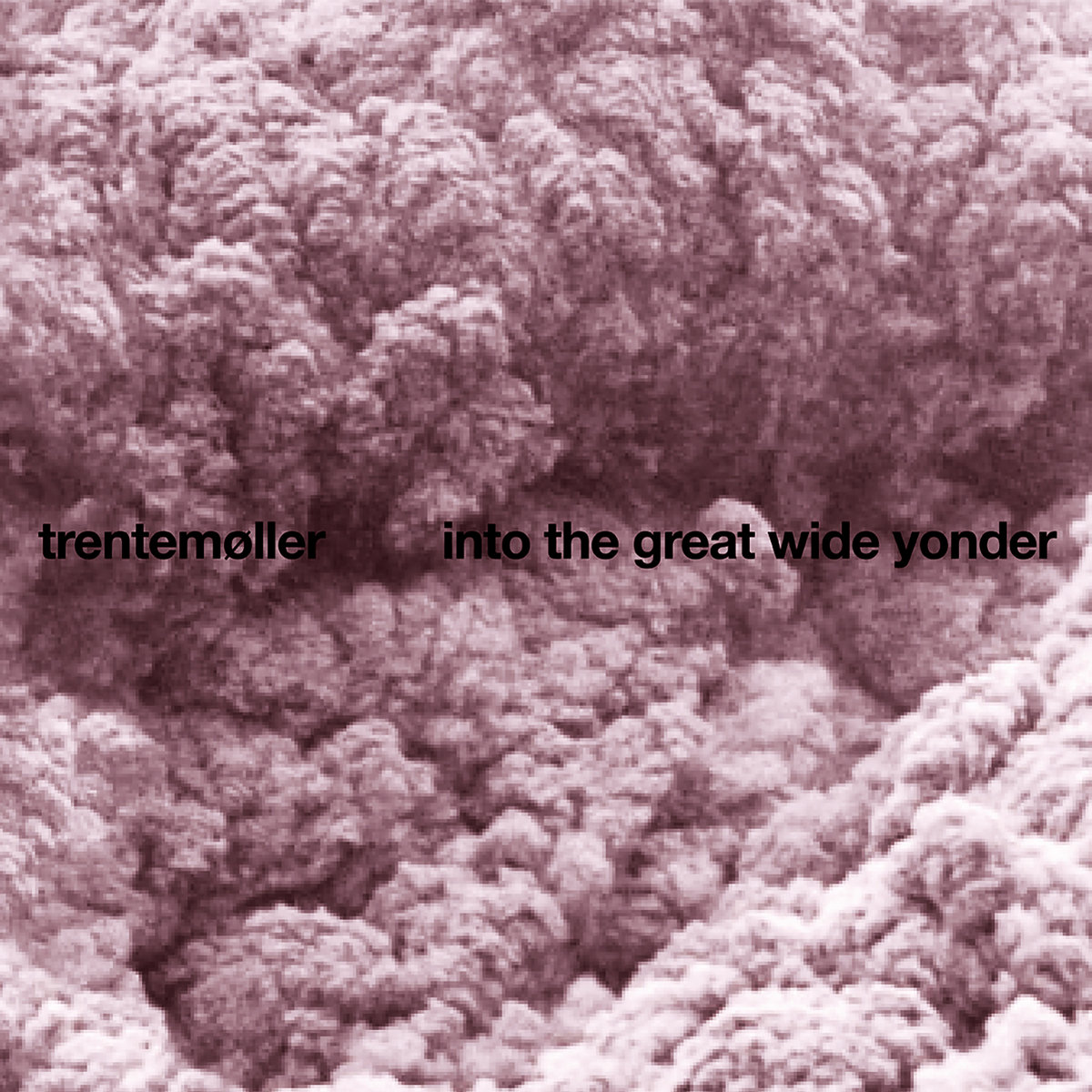 Into The Great Wide Yonder cover art