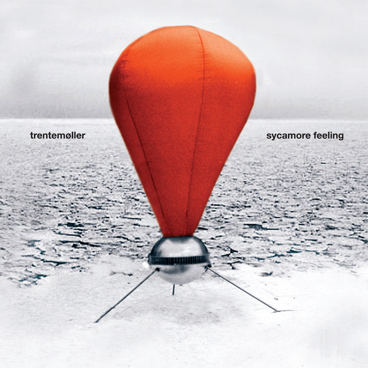 Sycamore Feeling cover art