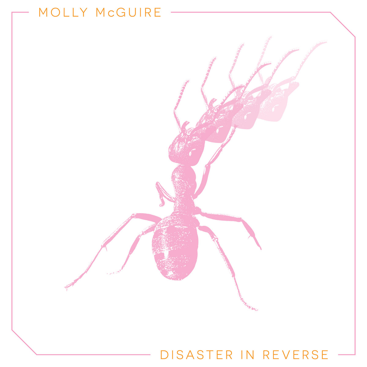 Disaster In Reverse cover