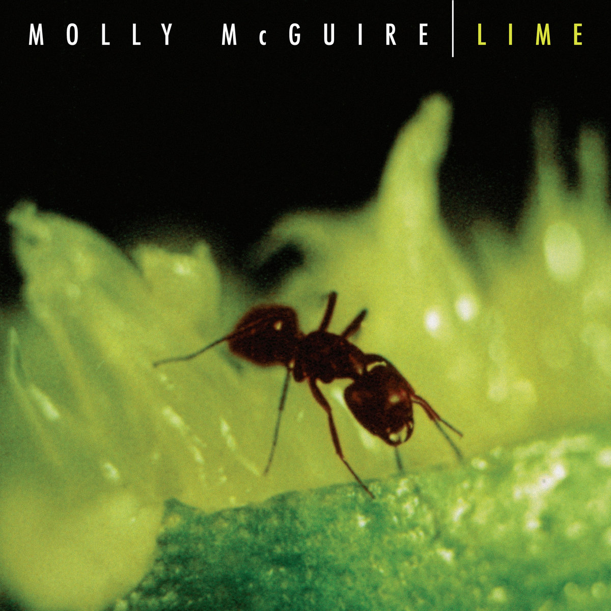 Lime (2026 Remaster) cover