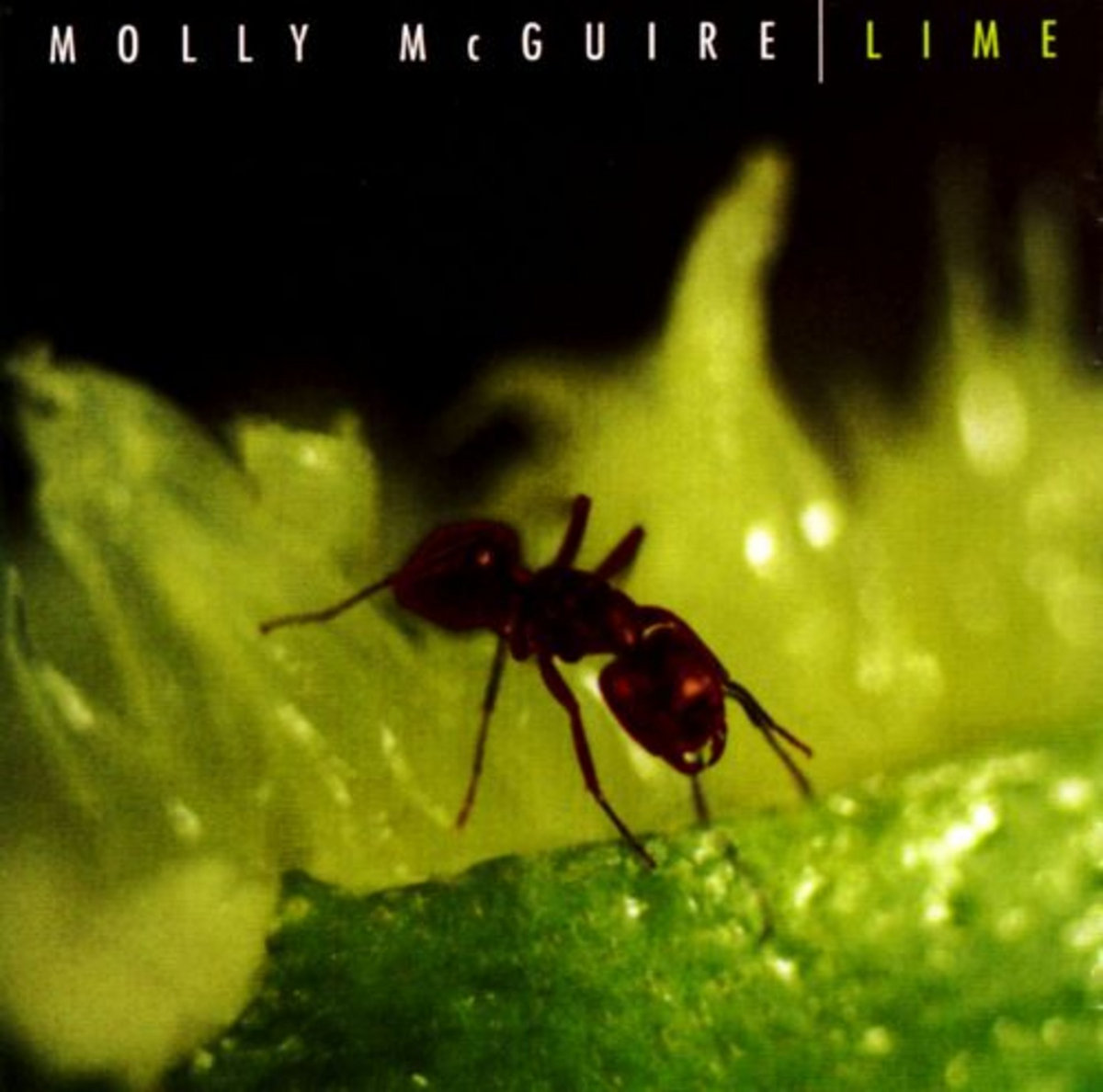 Lime by MOLLY MCGUIRE - album cover art